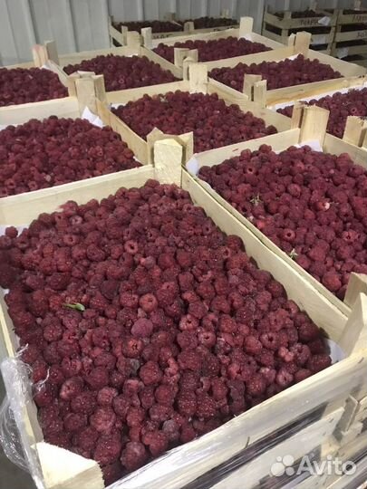 Брусника Клюква Черника Смородина