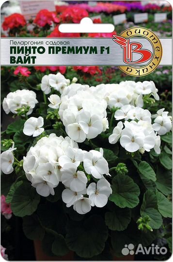 Растения для сада