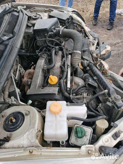 Авторазбор Чери фора