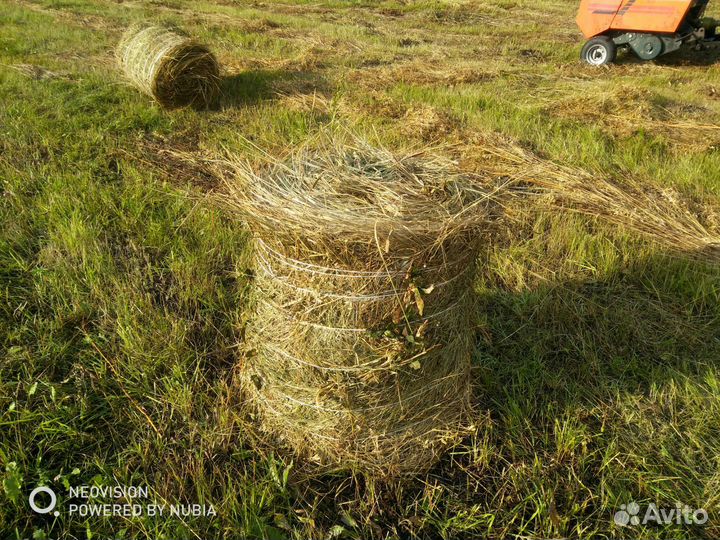 Сено в рулонах с доставкой,сено для животных,собак