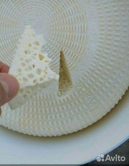 Домашний сыр