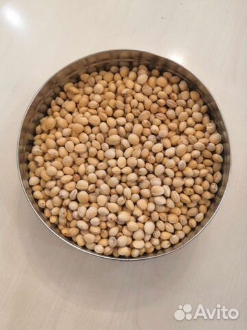 Вишневые косточки для рукоделия