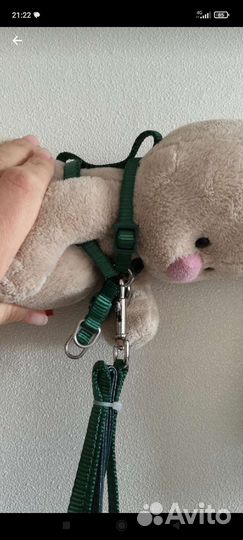 Шлейка для крупных попугаев