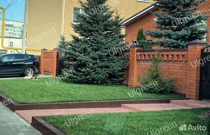 Рулонный газон «Де Люкс»