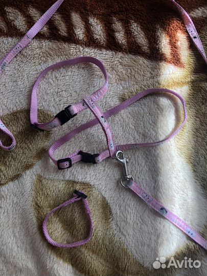 Шлейка для кошки