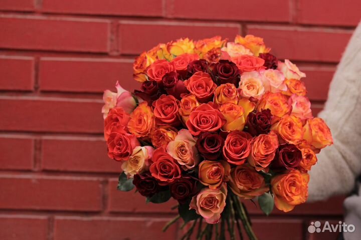 51 Роза Новосибирск