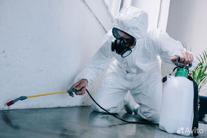 Уничтожение клопов, тараканов, блох, муравьёв