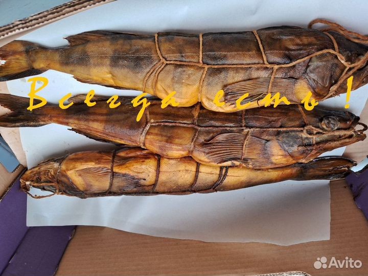 Терпуг горячего копчения с головой непотрошёный