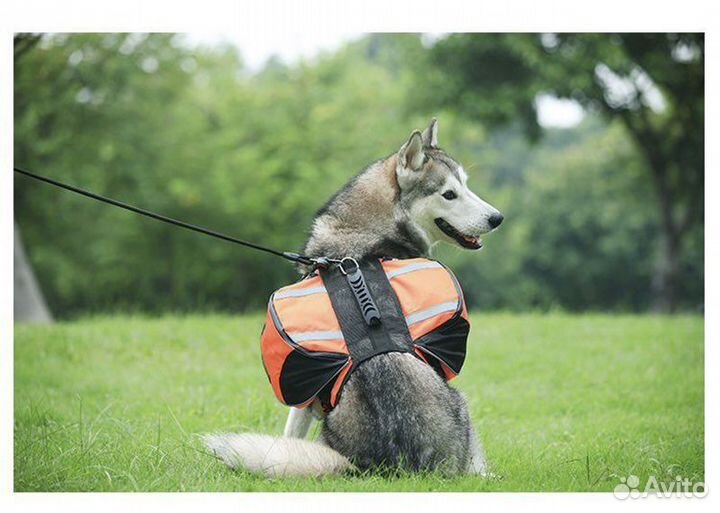 Рюкзак для собак L