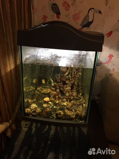 Аквариум