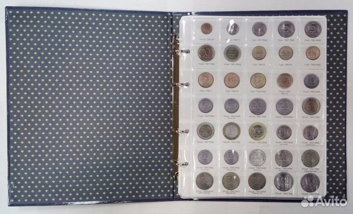 Папка с листами и описанием для погодовки с 1991г