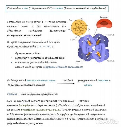 Репетитор по биологии