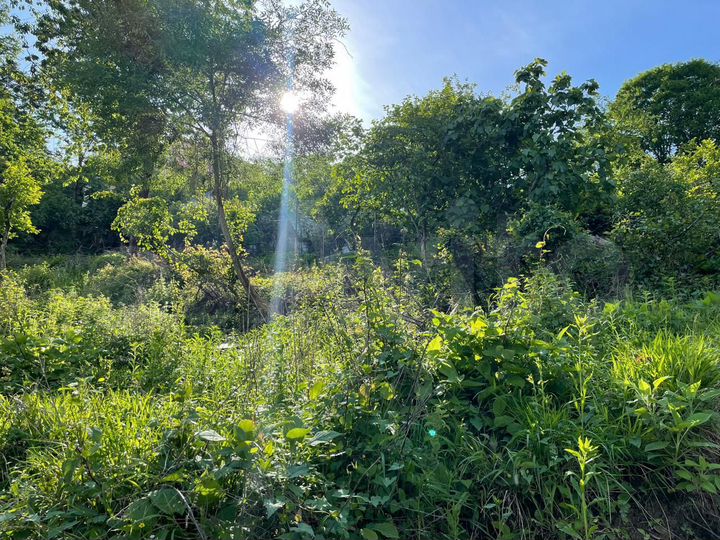 Участок 5,5 сот. (СНТ, ДНП)