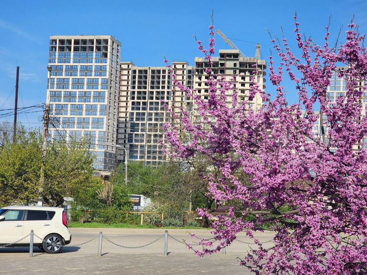 1-к. квартира, 43,6 м², 18/24 эт.