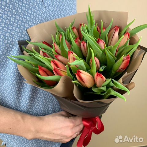 Тюльпан 51 101 опт