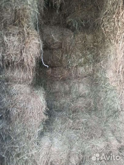 Сено в тюках