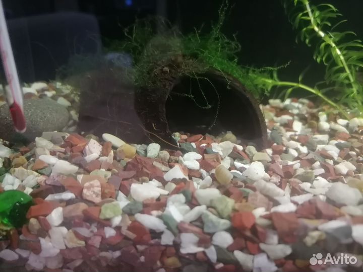Декорации для аквариума