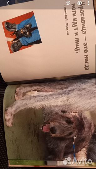 Книга альбом для любителей собак