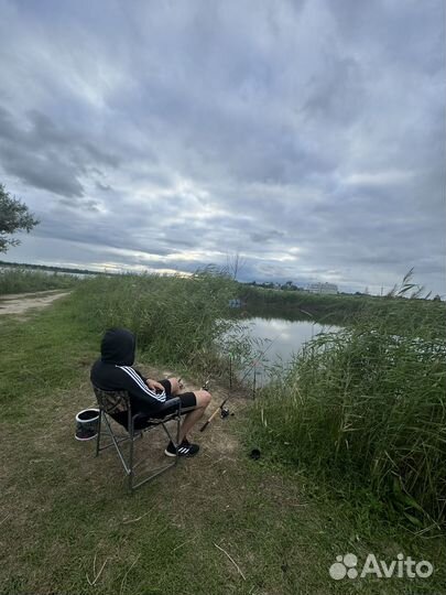 Платная рыбалка на карпа