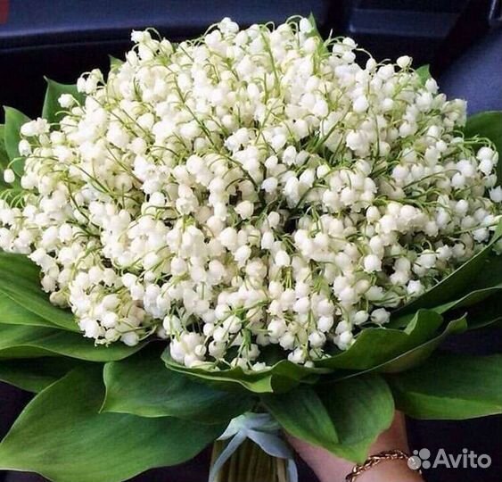 Ландыши букет