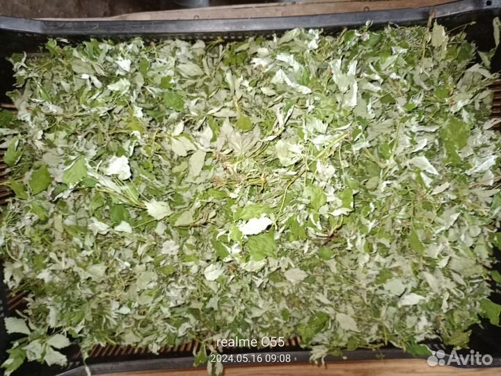 Цвет яблони, ирги, смородины, лист малины