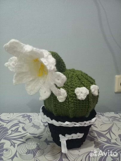 Вязаные кактусы