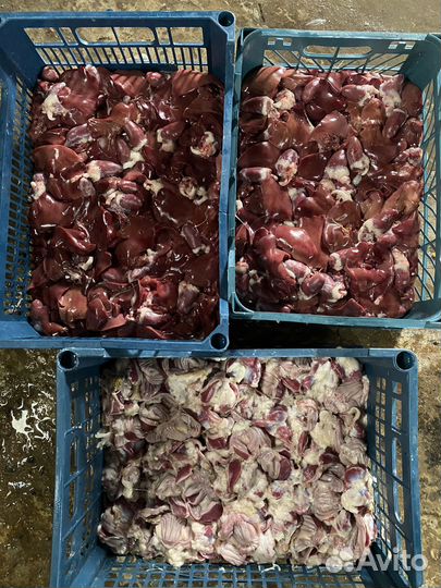 Очищенные куры