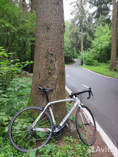 Шоссейный велосипед specialized allez