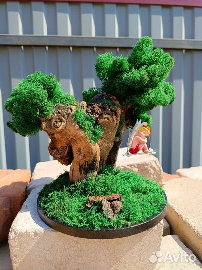 Настоящий мох. Оригинальные подарки