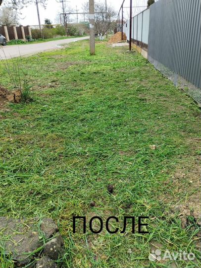 Покос травы, уборка участков