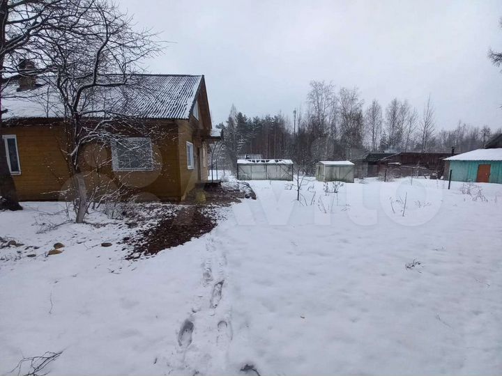 Авито хвойная дома