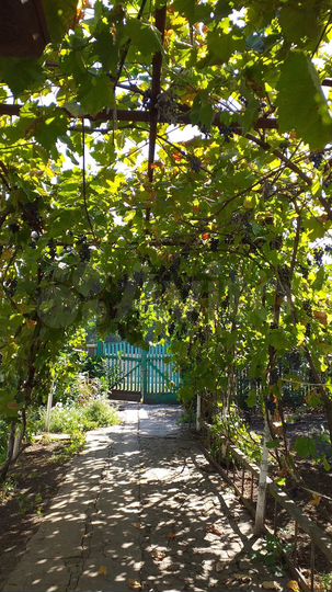 Дом 40,6 м² на участке 26 сот.