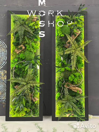 Растения, картина из мха, фитопанно, озеленение