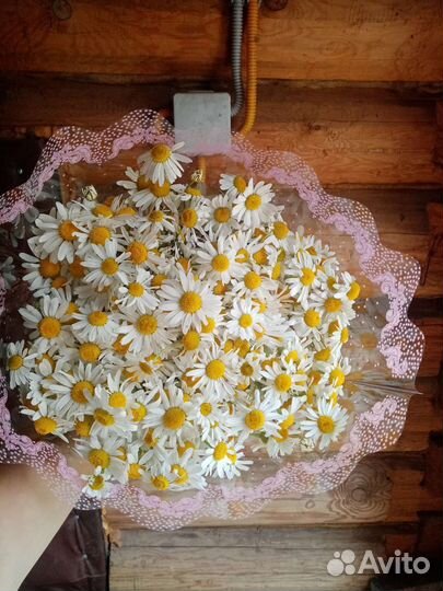 Букет цветов из ромашек
