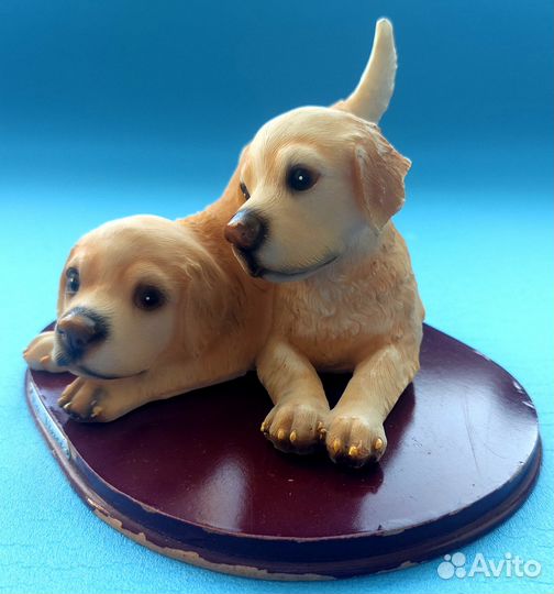 Лабрадорчики DA vinci