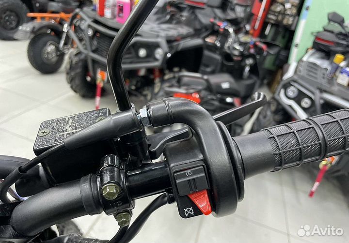 Мотоцикл avantis LX 300 (CBS300/ZS174MN-3) tumen