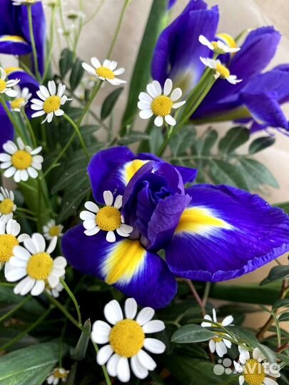 Букет из ирисов и полевых ромашек