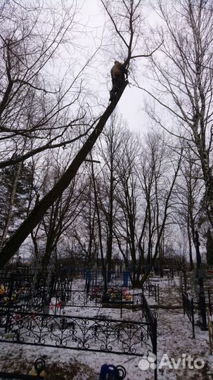 Спил деревьев, расчистка участка, обрезка веток