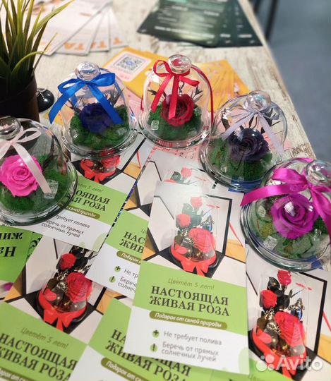 Розы в колбе, подарок девушке