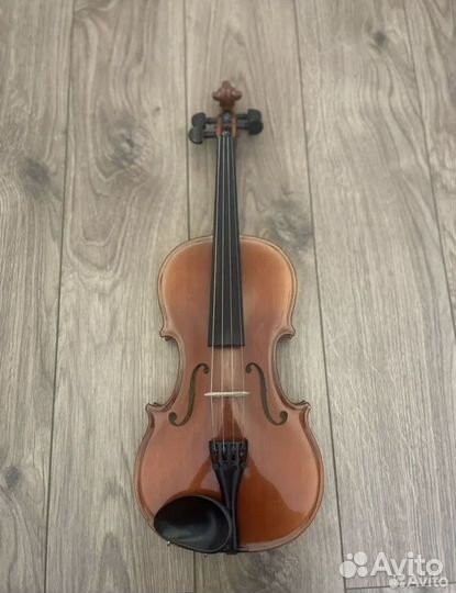 Скипка чешская, 3/4