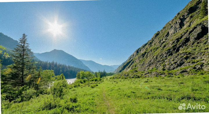 Тур путевка на Алтай летом программа 4-7 дн