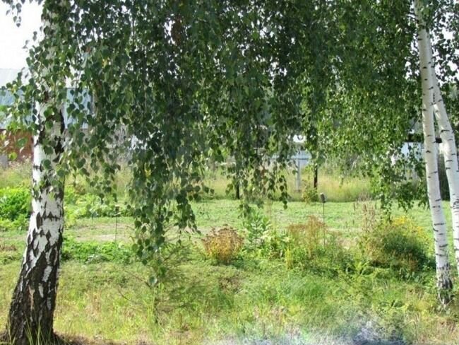 Участок 11 сот. (СНТ, ДНП)