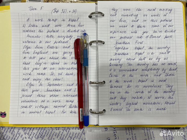 Перепишу лекции, конспекты, курсовые