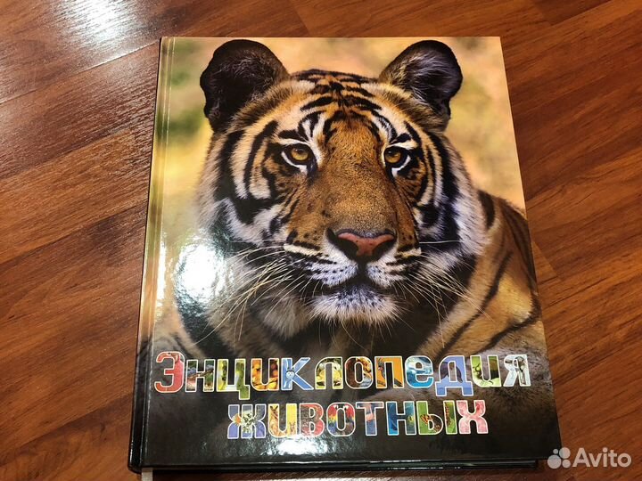 Детская энциклопедия