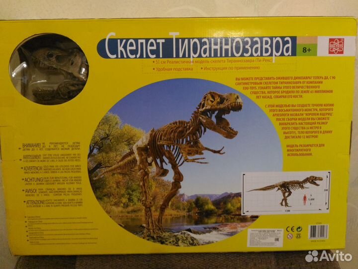 Скелет динозавра 51 см