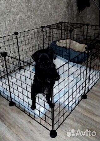 Вольер для щенков 12 секций