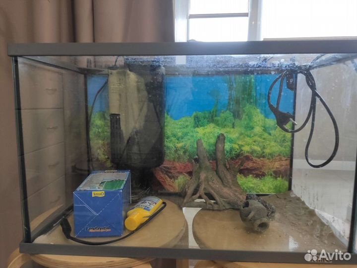 Аквариум