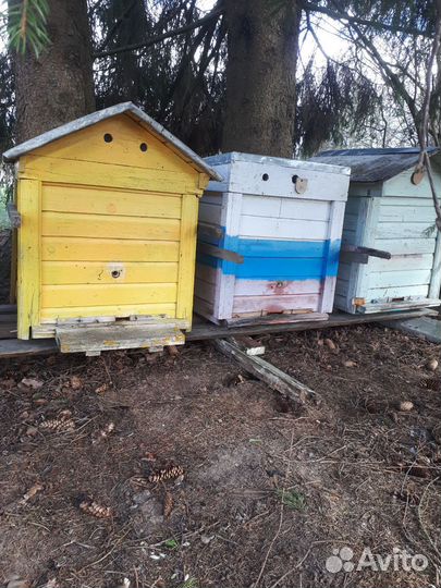 Продаются пчелиные улья бу
