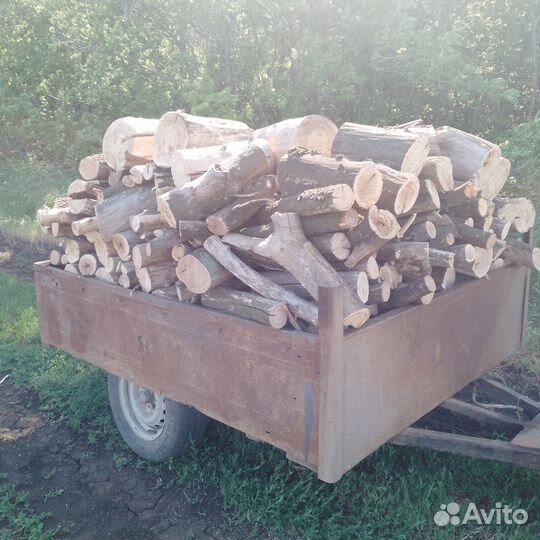 Дрова карагач клен