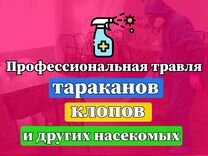 Дезинфекция тараканов клопов травить крыс запахи